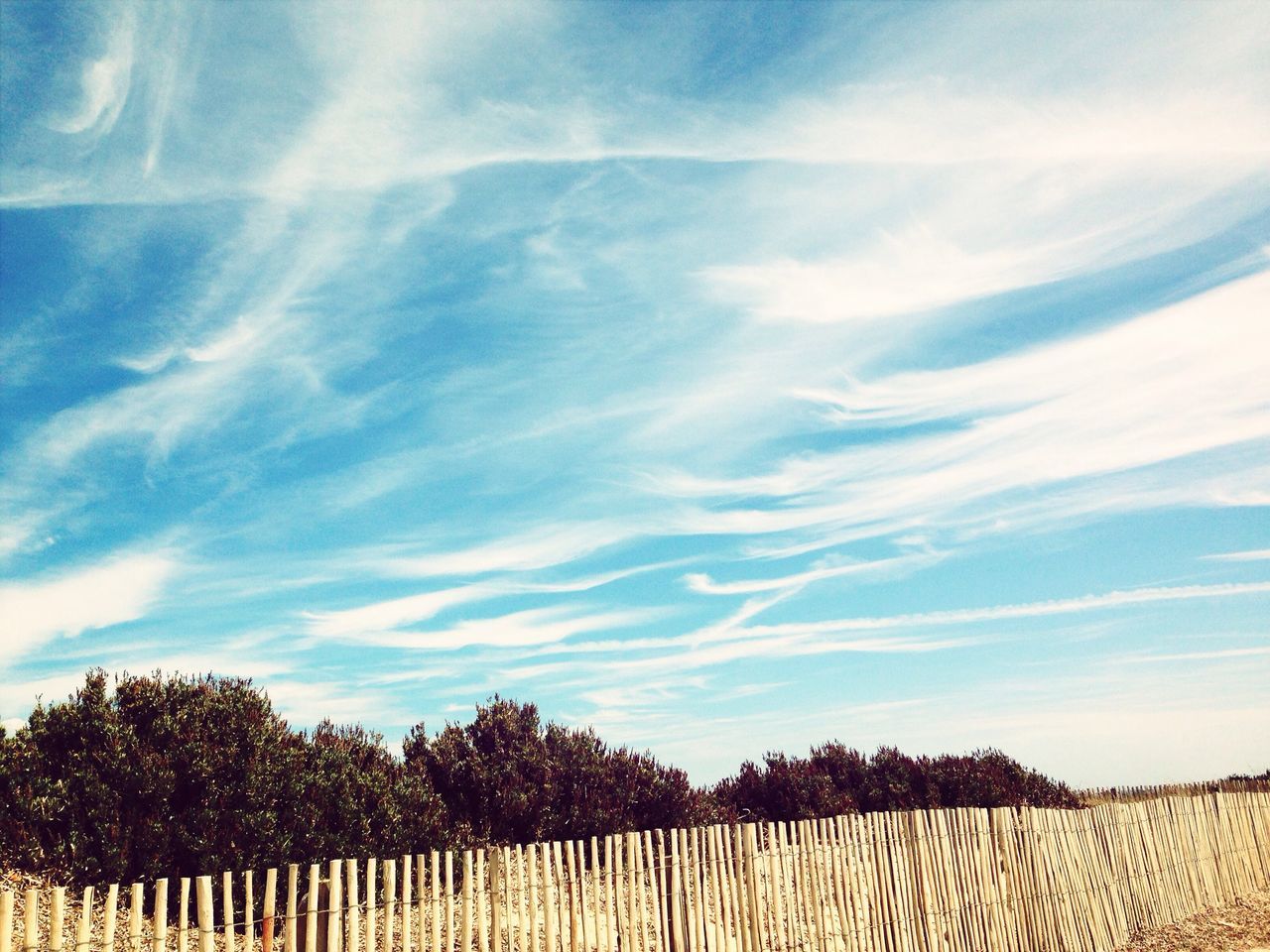 sky, tranquility, tranquil scene, landscape, agriculture, tree, field, cloud - sky, rural scene, blue, scenics, nature, beauty in nature, cloud, growth, farm, day, fence, outdoors, horizon over land