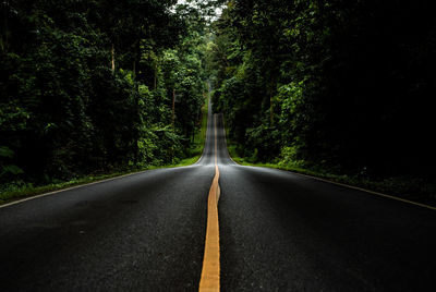 Road amidst trees in forest