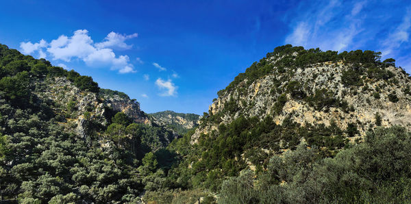 Panoramic view of trees and mountains against sky