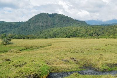 A fresh water river against a mountain background, arusha national park, tanzania