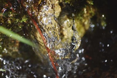 Close-up of water drops on rock