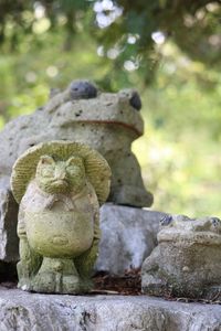 Close-up of statue against trees