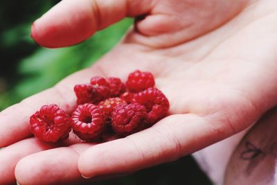 Close-up of hand holding raspberries