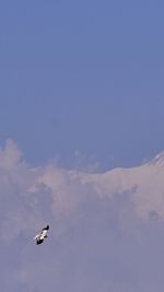 Low angle view of ferris wheel against sky