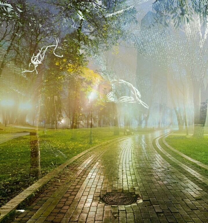 the way forward, tree, grass, sunbeam, sun, sunlight, nature, lens flare, tranquility, water, footpath, diminishing perspective, outdoors, tranquil scene, vanishing point, road, street, beauty in nature, scenics, illuminated