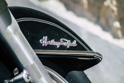 Close-up of flowering plant by car