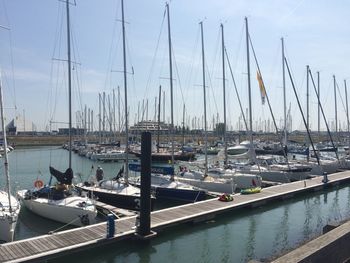 Sailboats moored at harbor