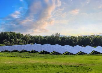 Generating clean energy with solar modules in a big park in northern europe.