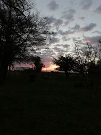Silhouette trees on field against sky at sunset