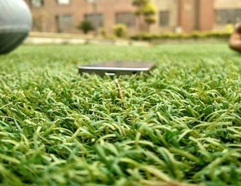 Close-up of grass on grassy field