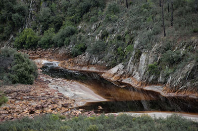 Stream flowing through rocks in forest