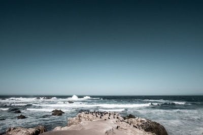 Scenic view of sea against clear sky