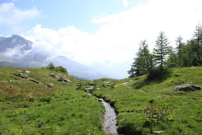 Scenic view of landscape against sky