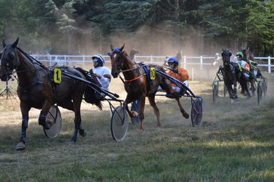 Group of people riding horse on field