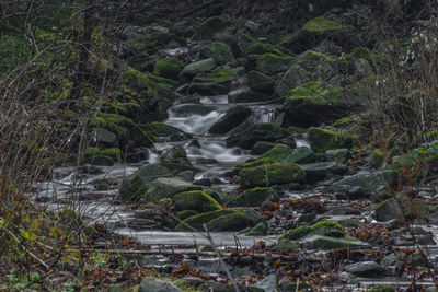 Water flowing through rocks in forest