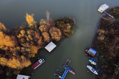 High angle view of trees by lake