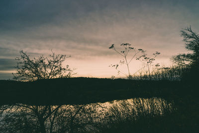 Silhouette plants by lake against sky during sunset