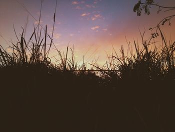 Silhouette of trees against sky at sunset