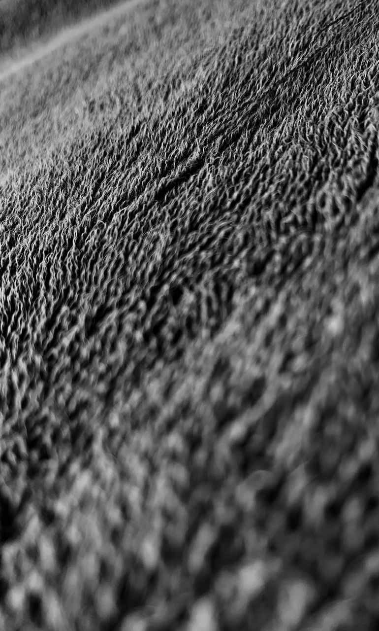 FULL FRAME SHOT OF RUG WITH MOUTH