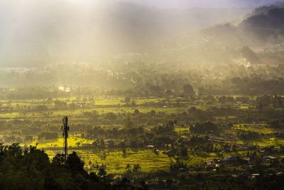 Scenic view of field against sky during foggy weather