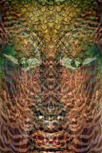 Digital composite image of a turtle