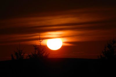 Silhouette of trees against sky during sunset