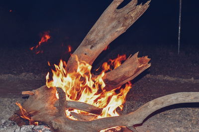 Close-up of fire on wood