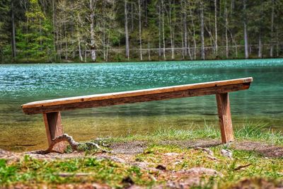 Empty bench by lake in park