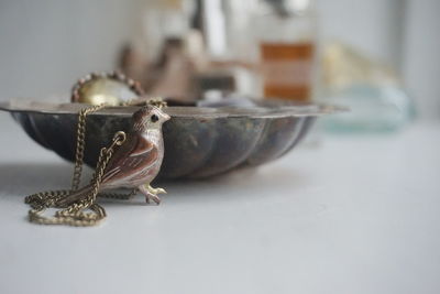 Close-up of antique artificial bird with container on table