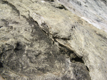 Close-up of rock