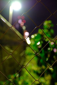 Close-up of illuminated chainlink fence at night