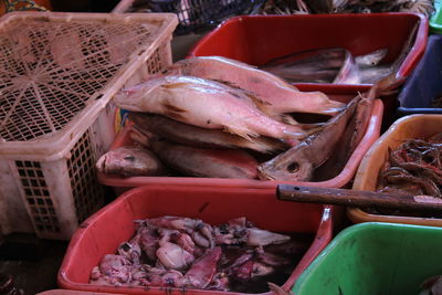 High angle view of fish for sale in market