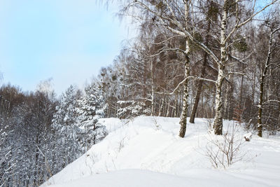 Bare trees on snow covered field against sky