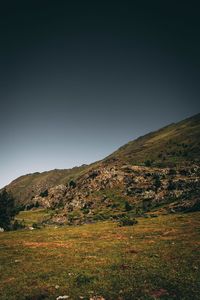 Scenic view of field against clear sky