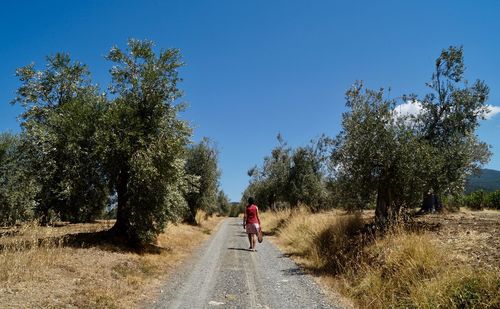 Rear view of woman walking on road
