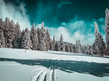 Scenic view of snow covered trees against sky