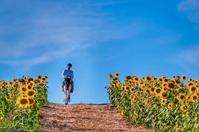 Full length of boy riding horse amidst sunflower field against sky