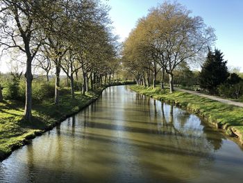 River amidst trees against sky
