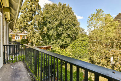 Footpath amidst trees against sky