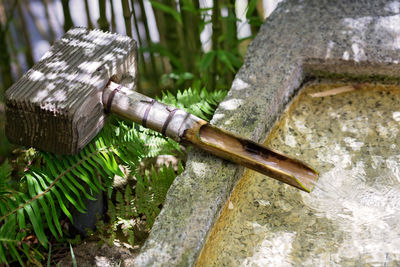 Close-up of fountain against plants in garden