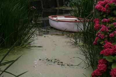 Boat moored in lake