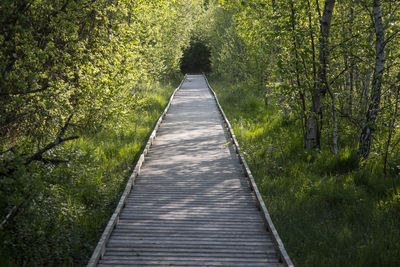 the way forward