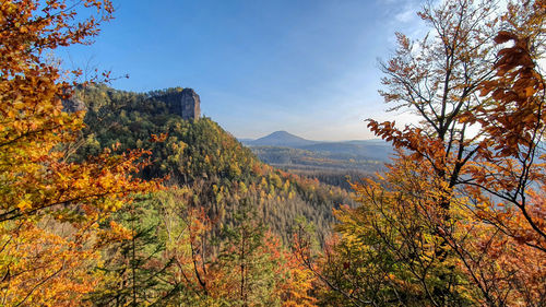 Scenic view of trees and mountains against sky during autumn