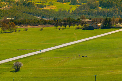 High angle view of green landscape