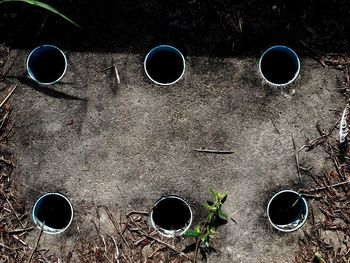 High angle view of coffee beans on field