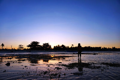 Silhouette of people on beach at sunset