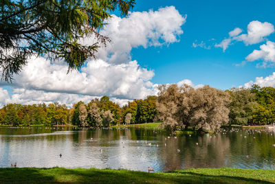 Scenic view of lake by trees against sky