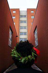 View of residential buildings