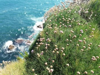 Scenic view of sea