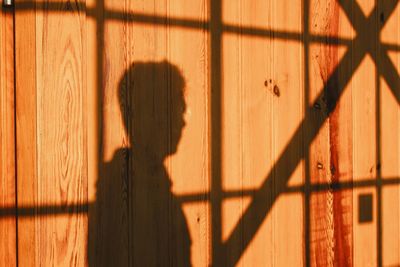 Shadow of woman standing on wooden floor